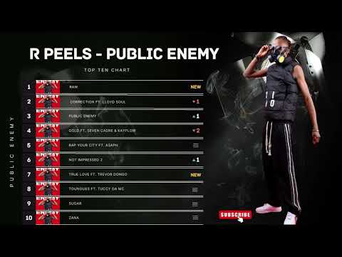R Peels New 2023 Album - Public Enemy | Top 10 Chart Best Preforming Hits