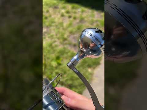 Penn or Shimano? 🤔 what do you think?#fishing #bassfishing #fishingtrip