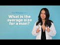 OurDoctor What Is The Average Penis Size