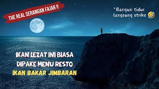 Download lagu Strike Predator Legend !! #fishing #rockfishing #nightfishing #strikeikanbesar #mancingmalam mp3