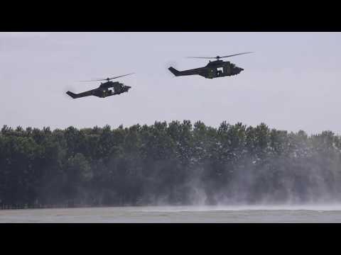 Exercise Saber Guardian 2019: Distinguished Visitors Day