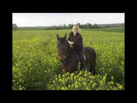 Super Arnie Dreamteam