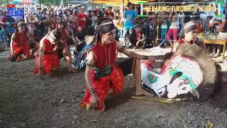Download lagu Terbaru Tarian Babak 2 Putra Jathilan Mekaring Turonggo Mudho @ Krembangan Panjatan Kulonprogo mp3