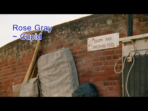 Rose Gray - Cupid (Lyric / Karaoke Video)