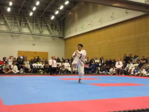 Unsu James 2016 ISKF World Shoto Cup 2016 雲手