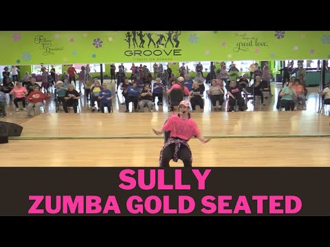 Sully - Zumba Gold Seated - Ricky T