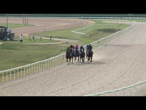 2019.08.25. 07. futam - MÁTRAI HENDIKEP (I.o.) (szintetikus pálya)