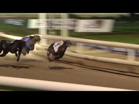 2020 DERBY PLATE - HEAT 4 - T3 HOPES BULLET