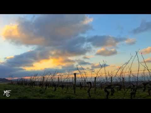 Time Lapse dans les vignes à Marin dans les hauteurs de Thonon-Les-Bains