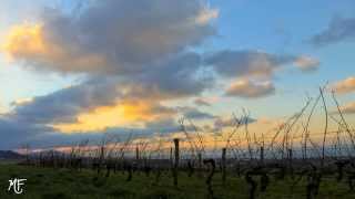 Time Lapse dans les vignes à Marin dans les hauteurs de Thonon-Les-Bains