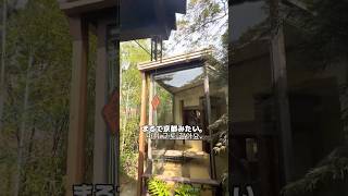 釜山・青沙浦の素敵なカフェ「審美眼」🍵