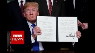 Hey Trump: What About the Stock Market Now?