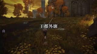 【♯16】初見プレイ！エルデンリング