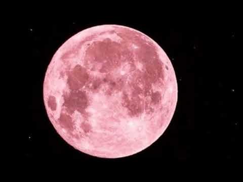 U Are My High- DJ SNAKE x FUTURE (tiktok viral)