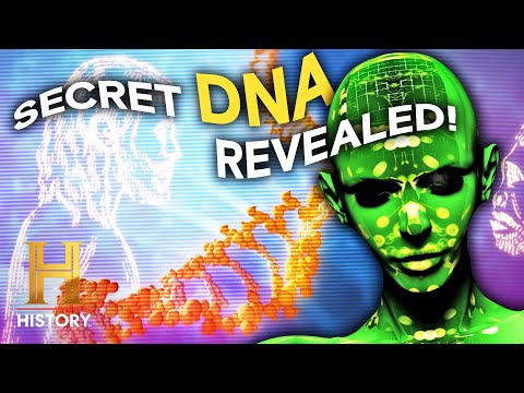 Evidence of Strange Human Hybrids Revealed | Ancient Aliens | History