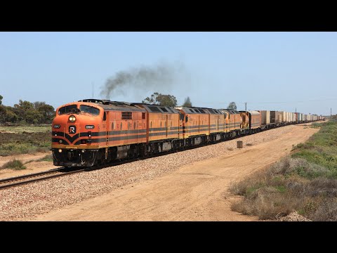 Streamliner GM47 leads, SCT Steel & Extra Services - Rare Trains of South Australia