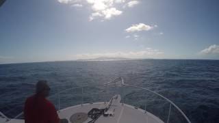 Navigating home from Culebra