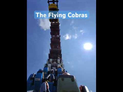 The Flying Cobras POV Carowinds #rollercoaster #carowinds #pov #themepark #sixflags #superfun