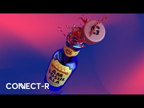 Connect-R - Am Sosul Ala | Guzil1an Remix