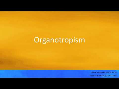 Pronunciation of the word(s) "Organotropism".