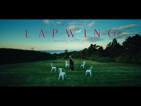 Video thumbnail for Lapwing