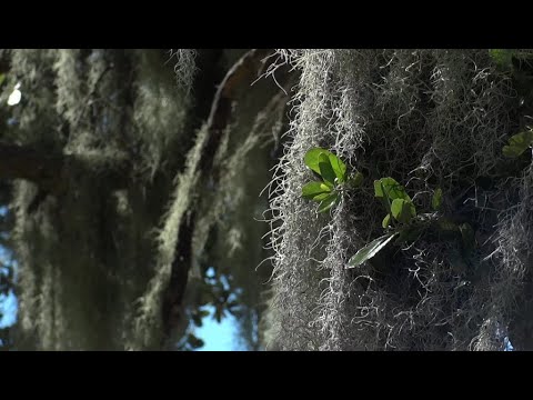 Relaxing mood--100%work--feel the beauty of nature 😊