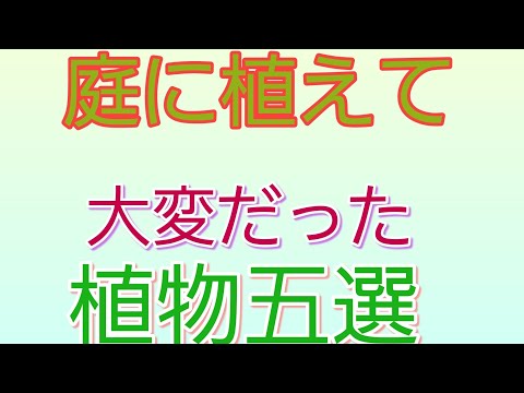 伸びすぎた植物を防ぐためのヒント 庭の練習