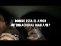 Donde esta el amor (Letra) - Internacional Mallanep