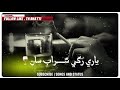 Yari Rakhe Sharab San Munwar Mumtaz Molai Sindhi Song Sindhi Status Sindhi Lyrics Status
