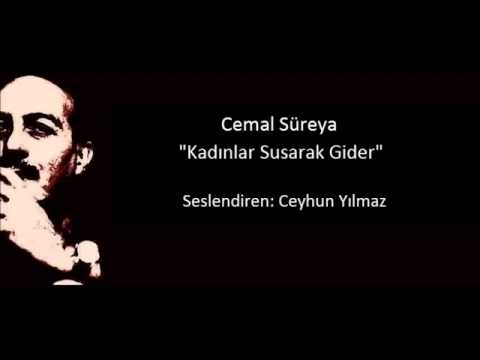 Cemal Süreya   Kadınlar Susarak Gider