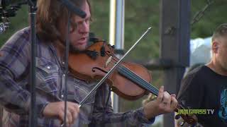 Infamous Stringdusters - Whats Going On - One More Bridge - Black Elk - 2017 Blue Ox