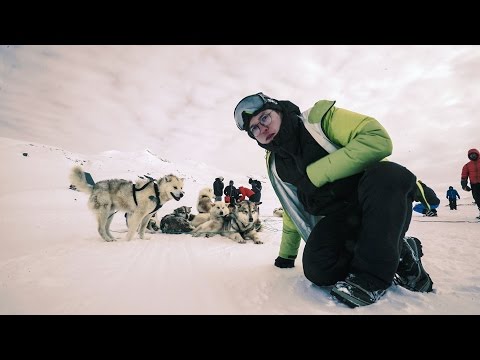 Jechałem psim zaprzęgiem!