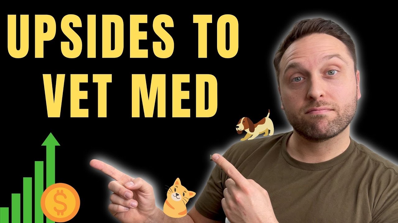 5 GOOD Things About Veterinary Medicine