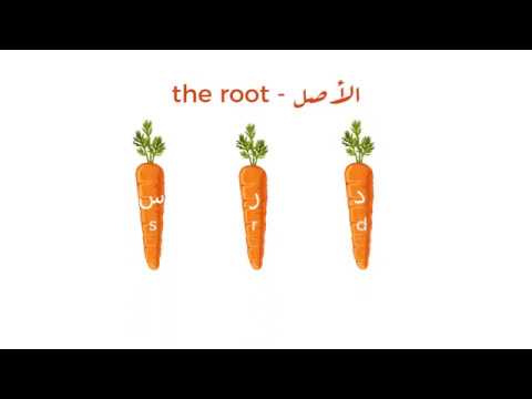 Arabic Grammar Basis - A1 - The root system of Arabic words - الأصل
