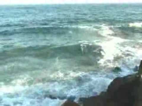 Superviviente video