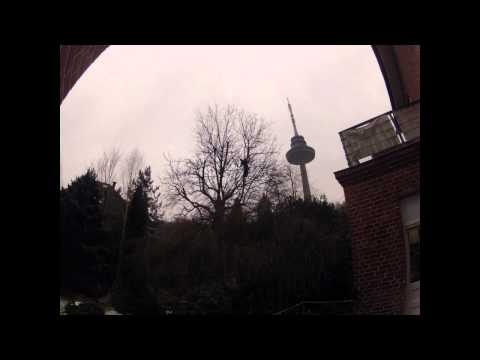 Astrein-Baumpflege - Rückschnitt  Walnuss in Seilklettertechnik am Fernsehturm in Kiel - Zeitraffer