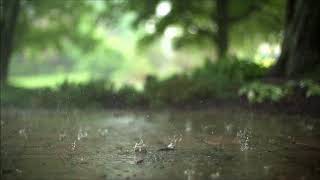 Raindrops in Super Slow Motion (No Copyright Music and Video)
