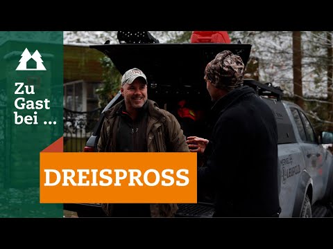 Damwildjagd in Brandenburg | Zu Gast bei… Dreispross | Pirschjagd auf Schwarzwild | Wildschwein
