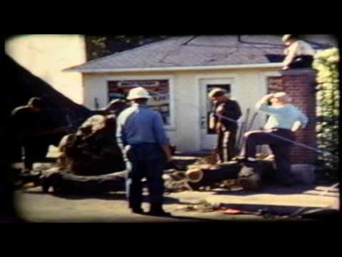 DamonTuckers Atlantic Ave Marblehead 1950