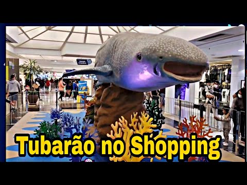Exposição Oceano As vidas marinhas Tubarões no Shopping Aricanduva são Paulo capital