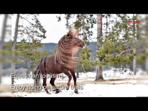 Discover Bucovina - The Land of Magic!