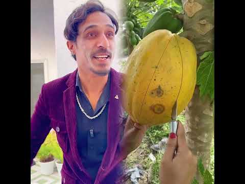 Gaaon ka ek din 🤣  #shorts #funnyshorts #comedymemes