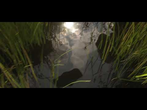 Route 8 feat. Quails - Tomorrow Comes Today (Official Video)