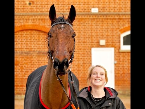 The season Thistlecrack became a 'Monster'