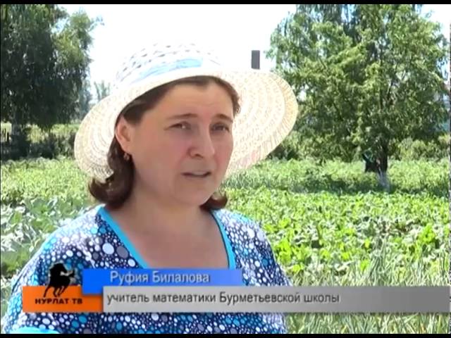 ЕГЭ – позади. Все аттестованы