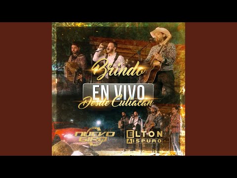 Brindo (En Vivo Desde Culiacan)