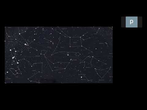 HCA Meeting Asia 2020: Co-current 3-3b - Mapping development & pathophysiology in organoid models