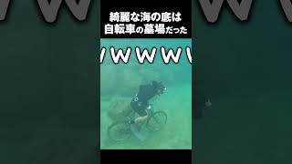 沖縄の綺麗な海の底は自転車の墓場でした