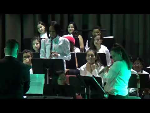 The PS28 Concert Band - Winter Concert 2017