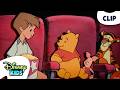 Pooh And Friends Go To The Movies ️ The New Adventures Of Winnie The Pooh Disneykids